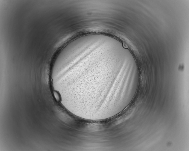 X0000102350446200808151754