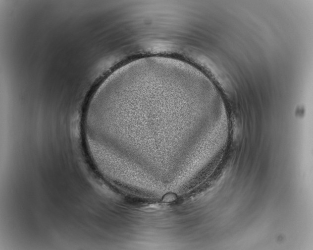 X0000102350447200808151754