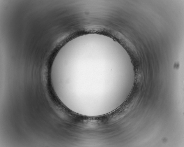 X0000102350448200808151754