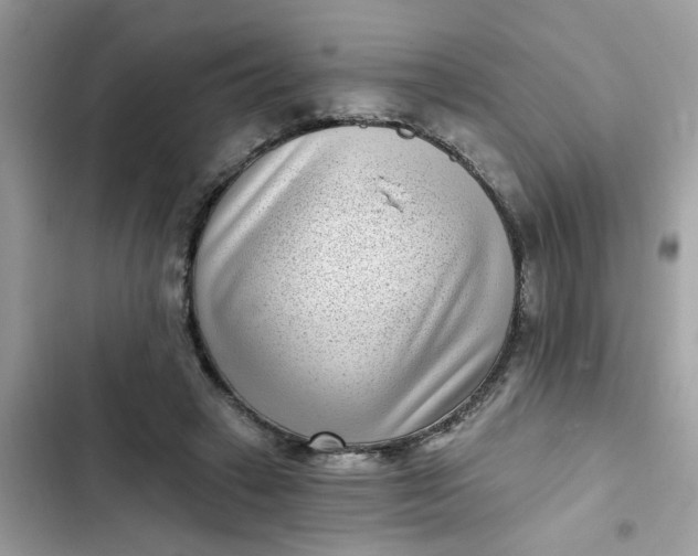 X0000102350449200808151754