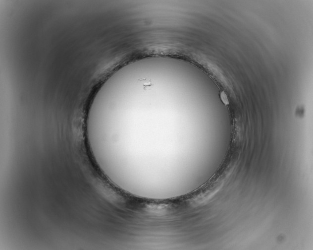 X0000102350450200808151754