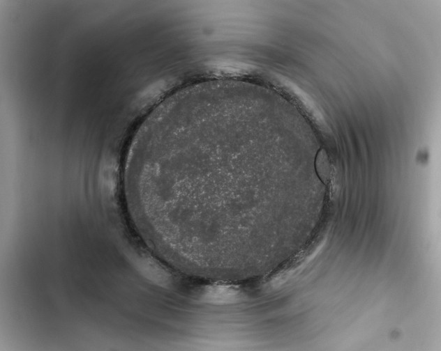 X0000102350451200808151754