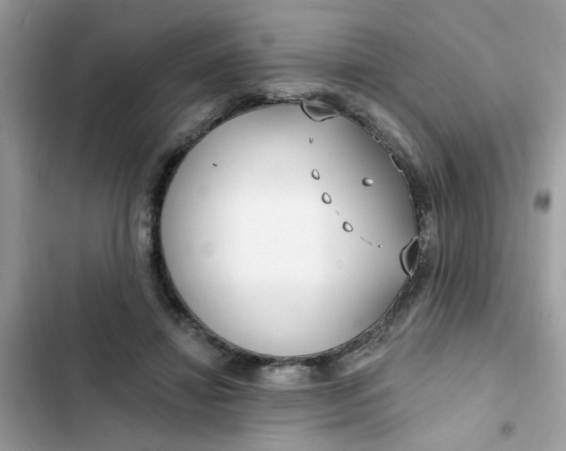 X0000102350452200808151754