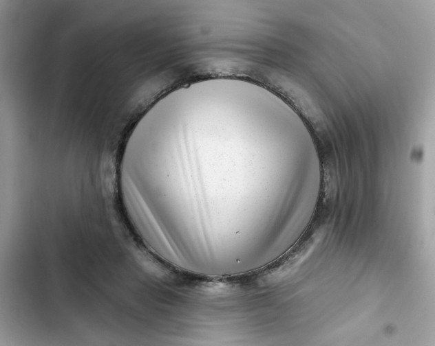 X0000102350453200808151754