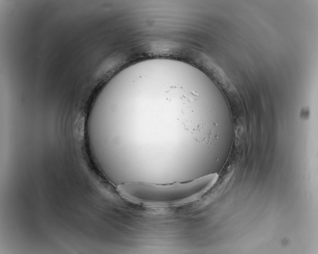 X0000102350454200808151754