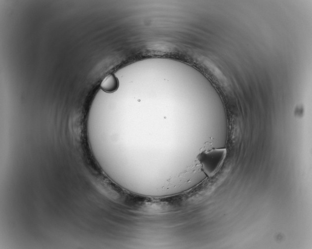 X0000102350455200808151754