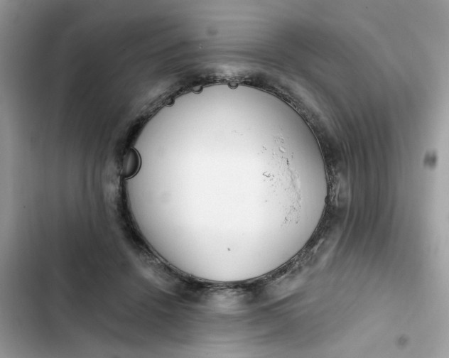 X0000102350456200808151754