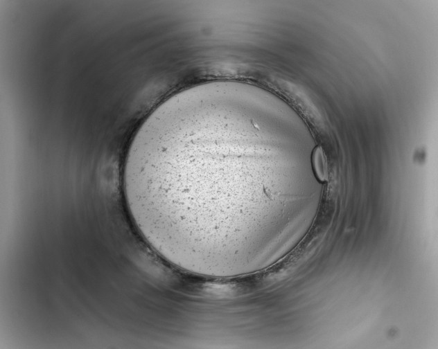 X0000102350457200808151754