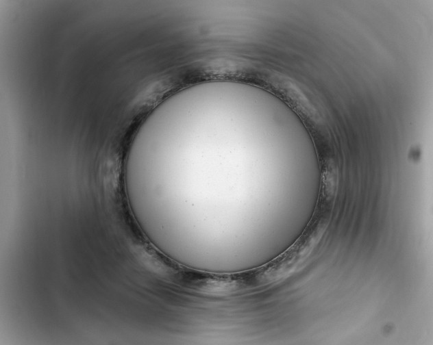 X0000102350458200808151754