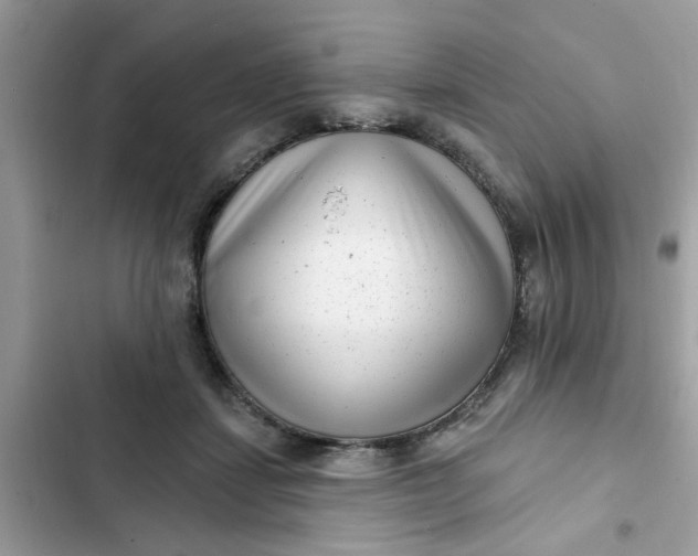 X0000102350459200808151754