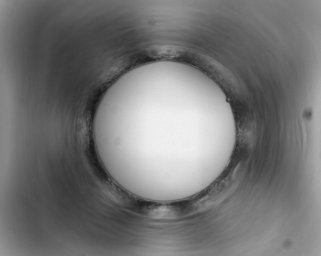 X0000102350460200808151754