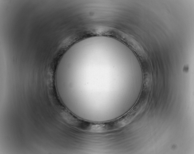 X0000102350461200808151754