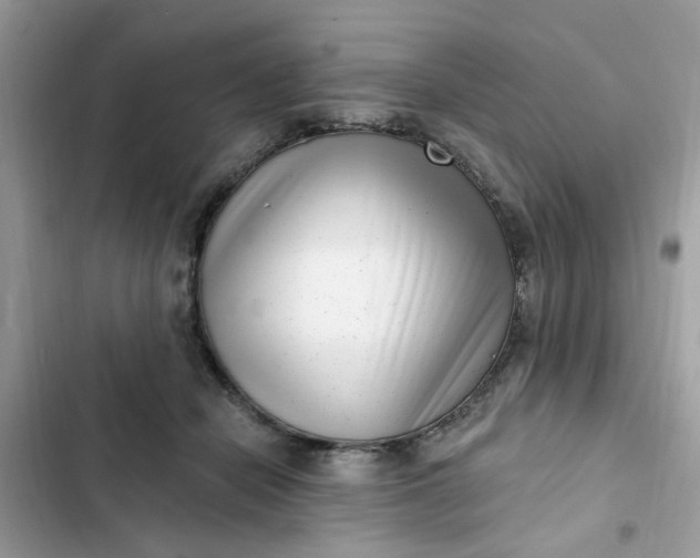 X0000102350462200808151754