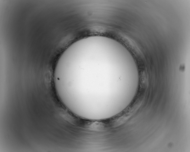 X0000102350463200808151754