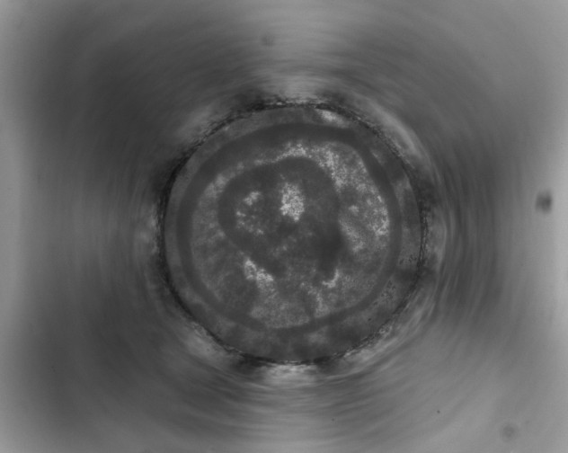 X0000102350465200808151754