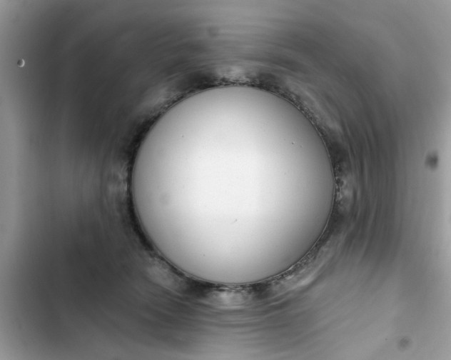 X0000102350466200808151754