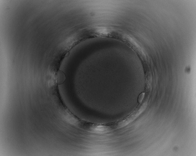 X0000102350467200808151754