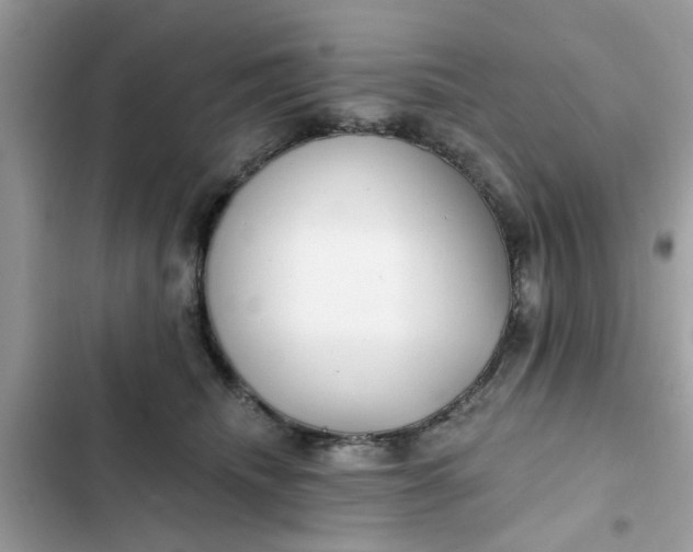 X0000102350468200808151754