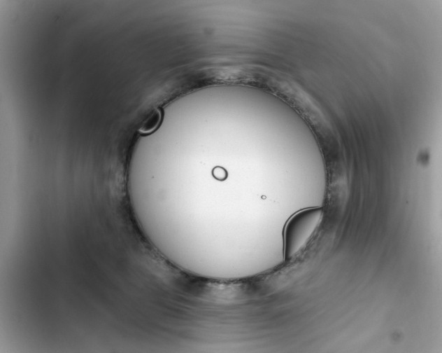 X0000102350469200808151754