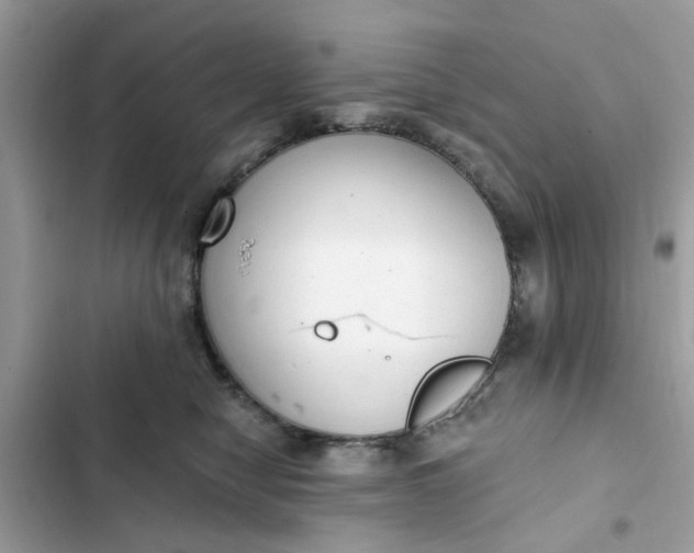 X0000102350470200808151754