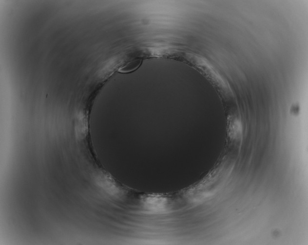 X0000102350471200808151754