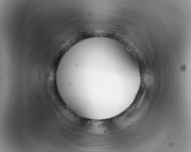 X0000102350472200808151754