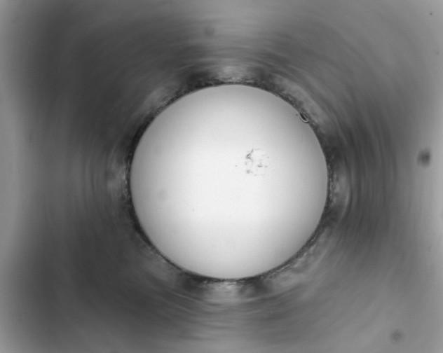 X0000102350473200808151754