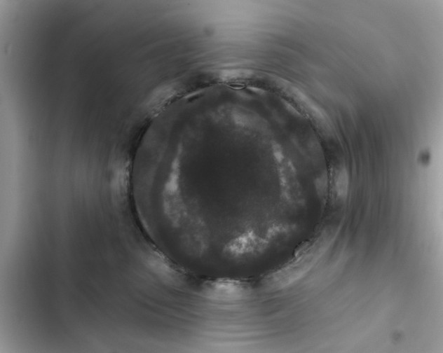 X0000102350475200808151754