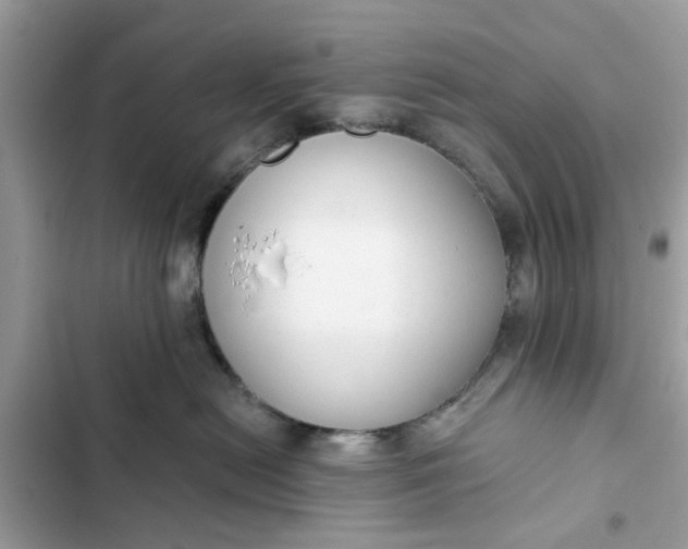 X0000102350478200808151755