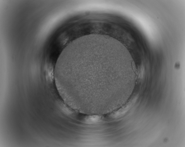 X0000102350479200808151755