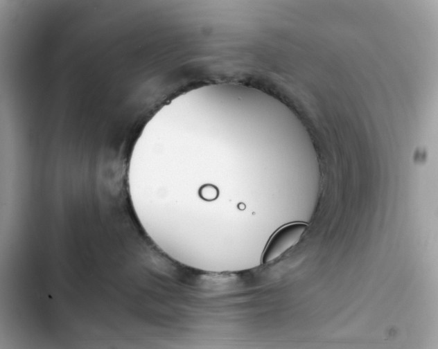 X0000102350480200808151755