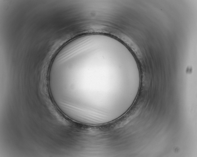 X0000102350481200808151754