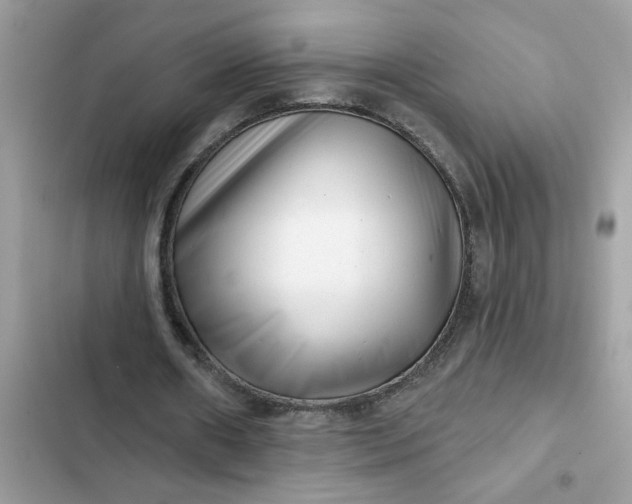 X0000102350482200808151754