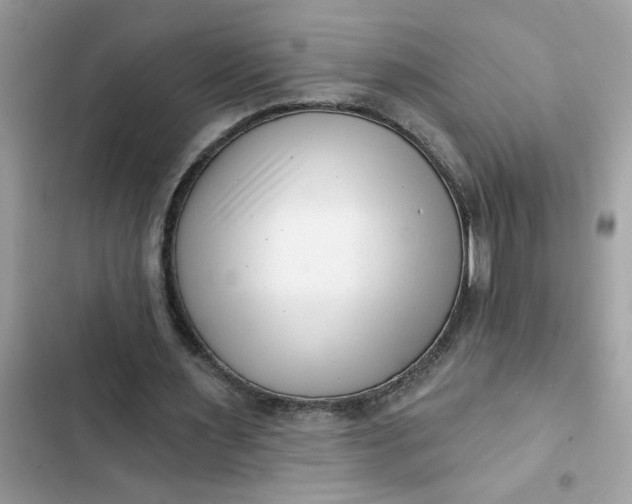 X0000102350483200808151754