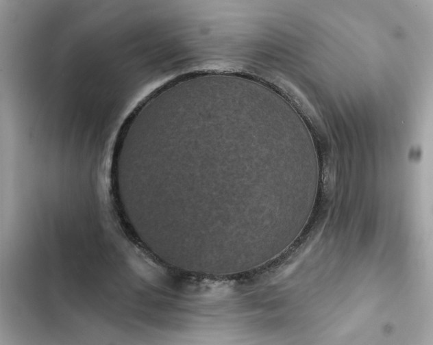 X0000102350484200808151754