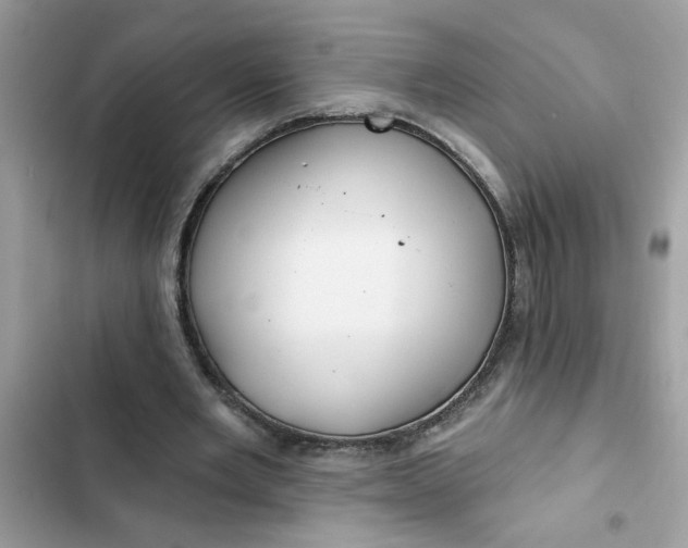 X0000102350485200808151754