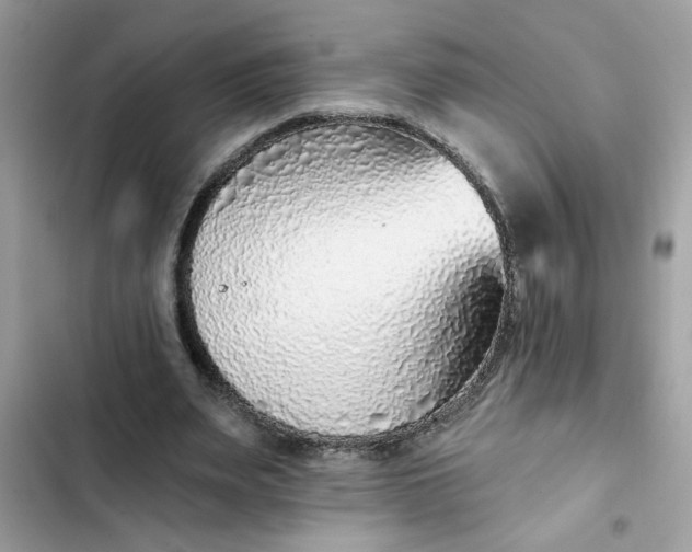 X0000102350487200808151754