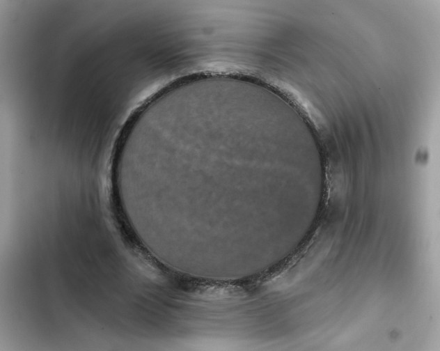 X0000102350488200808151754