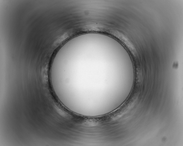 X0000102350489200808151754