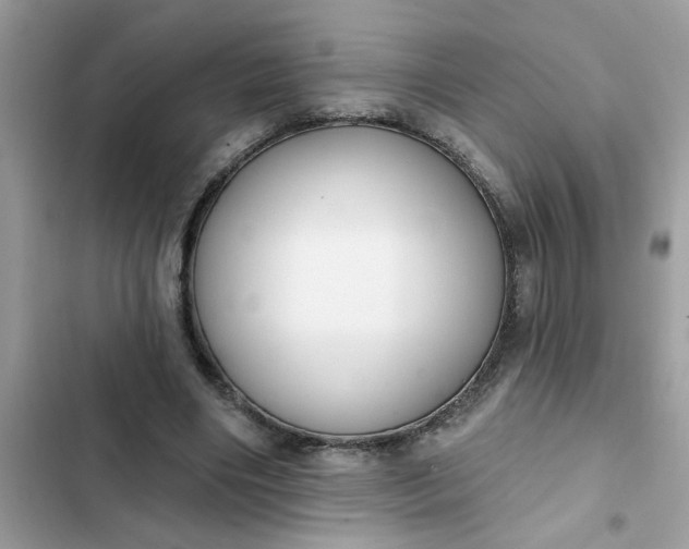 X0000102350490200808151754