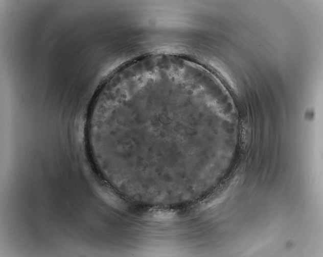 X0000102350491200808151754