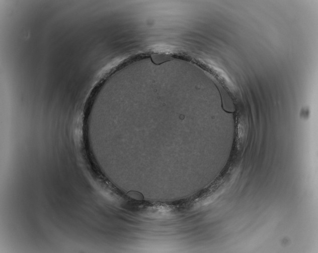 X0000102350492200808151754