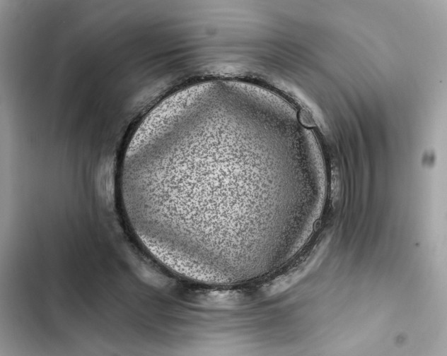 X0000102350493200808151754