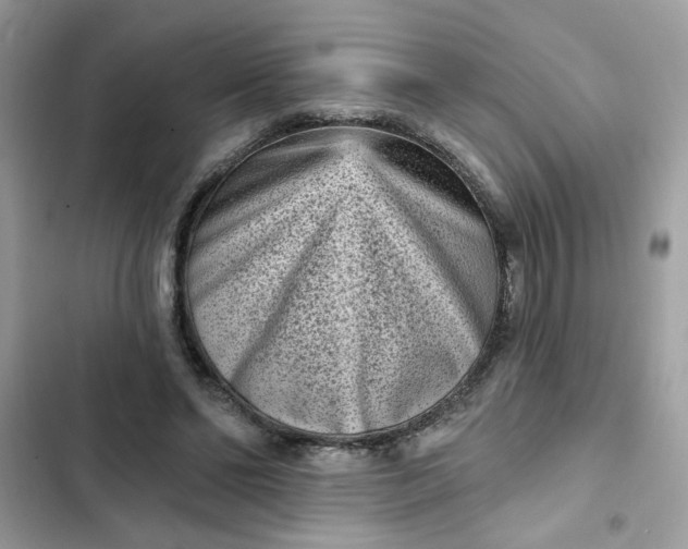 X0000102350494200808151754