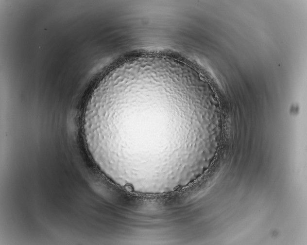 X0000102350495200808151754