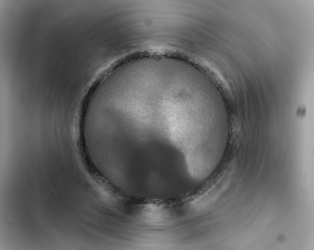 X0000102350496200808151754