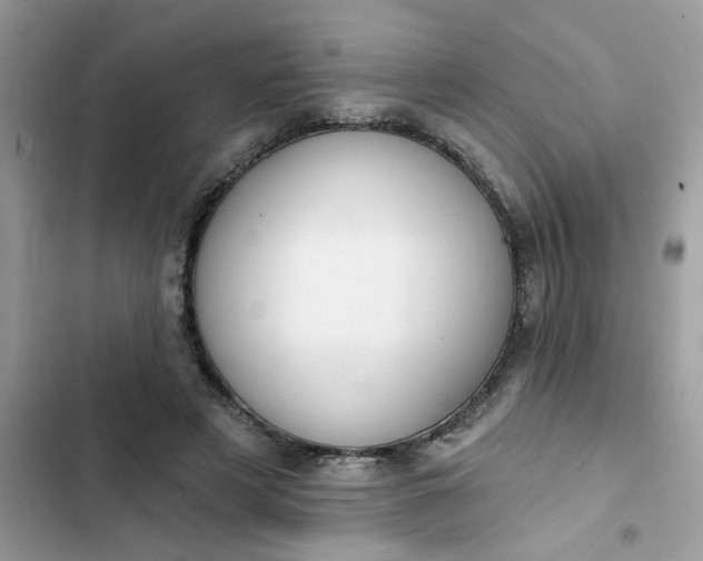 X0000102350497200808151754