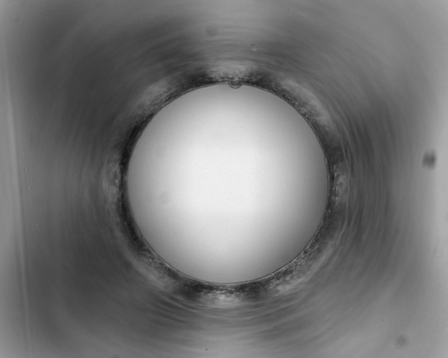 X0000102350498200808151754