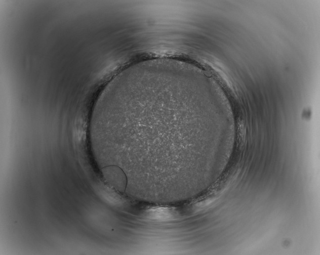 X0000102350499200808151754