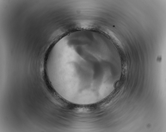 X0000102350500200808151754